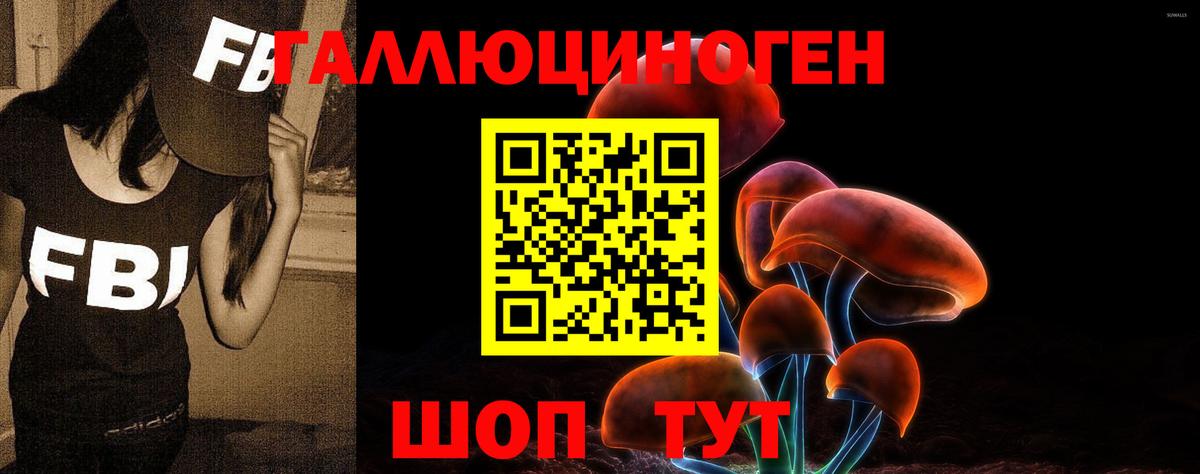 Псилоцибиновые грибы мухоморы  Вход с VPN  Камышин 
